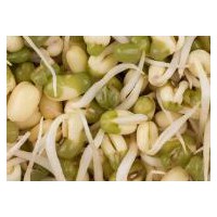 【供】求购豆芽机