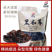 山阳县沁慧源黑木耳500g/袋 秦岭特级木耳